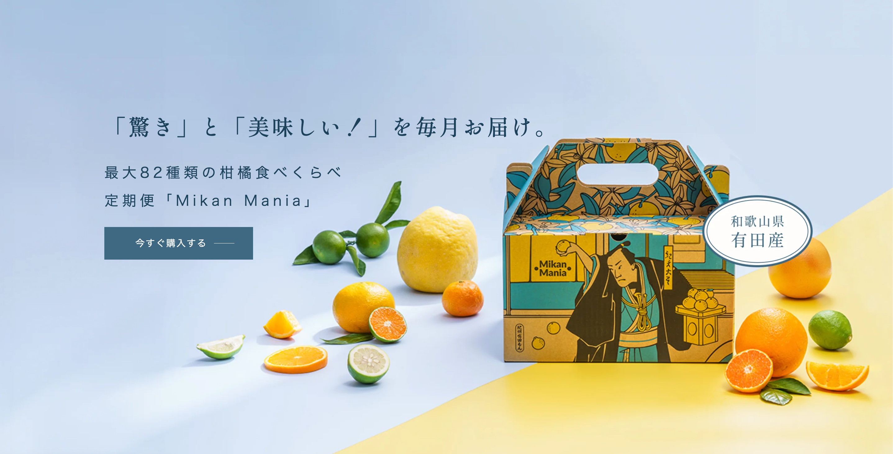 みかん様 リクエスト 5点 まとめ商品 みかん様 リクエスト 5点 まとめ みかん様 リクエスト 5点 まとめ商品 みかん様 リクエスト 5点 まとめ